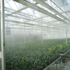 Brass High Pressure Misting Device