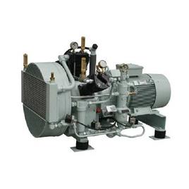 Industrial High Pressure Piston Compressor