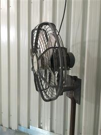 Hindustan 600mm Wall Mount Fan