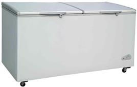 HMG India SS Deep Freezer