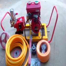 Honda Petrol Engine Sprayer Pump