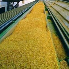 Food Grain Horizontal Conveyor Machine