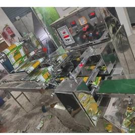 Horizontal Flow Wrap Chocolate Machine