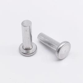 Hot Rolled Stainless Steel Round Rivet, 1inch
