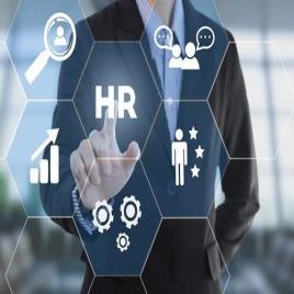 HR Consultancy Services