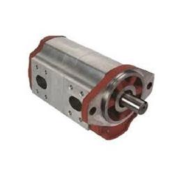 Double Gear Hydraulic Pump