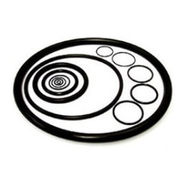 Hydraulic O-Ring Seals