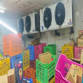 Ice Cream Preservation Room