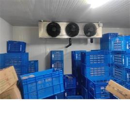 Ice Cream Freezer Unit