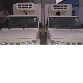 Ice Cream Refrigerated Container