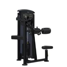 Impulse Fitness Lateral Raise Machine