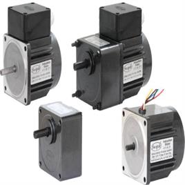 25W 230VAC Single Phase Induction Motor