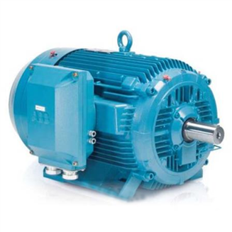 Standard Induction Motor