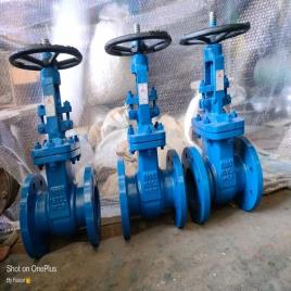 Industrial Gas Gate Valve