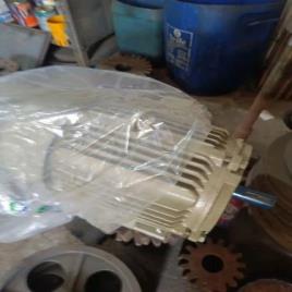 General Purpose Industrial Motor