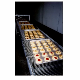 Industrial Conveyor Baking Machine