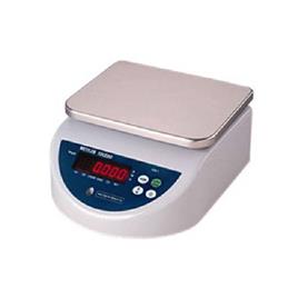 Industrial SS Weighing Machine