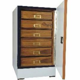 Insect Display Cabinet