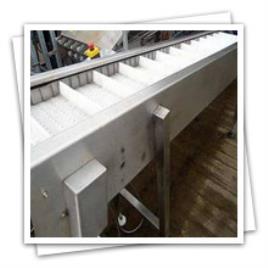 Inspection Conveyor System