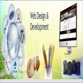 Website Development & Mobile Redesign Services