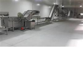 IQF Fruit and Vegetable Processing Plant