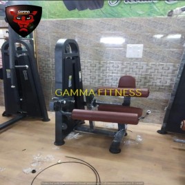 Iron Leg Curl Station, Gamma Fitness Gym