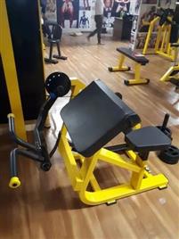 ISF Preacher Curl Machine
