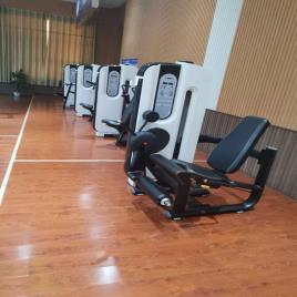 Gym Leg Curl Extension Machine