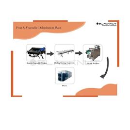 Semi-Automatic Jackfruit Dryer Plant