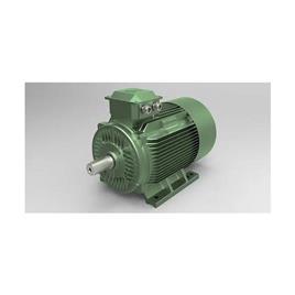 JDEW IE4 Three Phase AC Motors