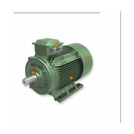 JDEW IE4 Super Premium PMSM Motor