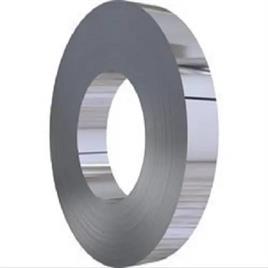 304 Stainless Steel Strip