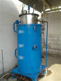 Mild Steel Non IBR Steam Boiler
