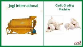 Semi-Automatic Garlic Grinding Equipment