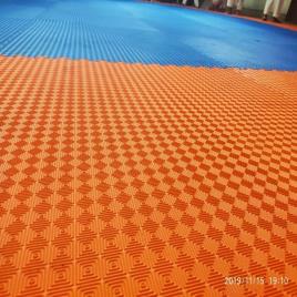 Judo EVA Mat, 1x1 Mtr