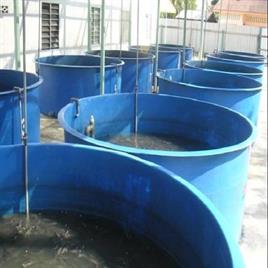 KFG FRP Aquaculture Fish Tank