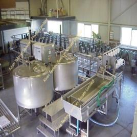 Customized Cheese Processing Equipment