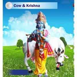 Krishna with FRP Cow Statue