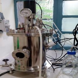 Laboratory Fermenter Bioreactor, 5 L Capacity