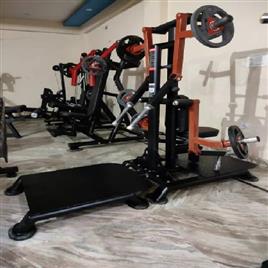 Lateral Raise Gym Machine Plate Loaded