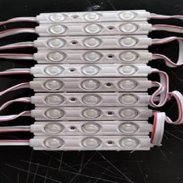 Decorative LED Module Lights