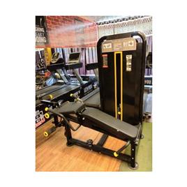 Leg Curl Extension Machine (Model 9056)