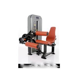 Dual Leg Curl Extension Machine