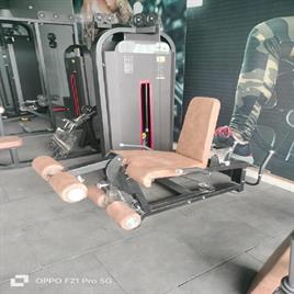 Leg Curl Extension Combo