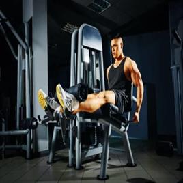 Leg Extension Gym Equipment