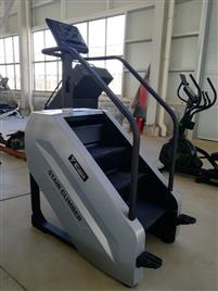 Commercial Leg Stair Master STAR