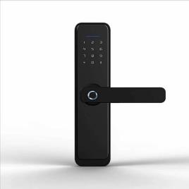 Lever RFID WiFi Smart Biometric Door Lock E Series, Black