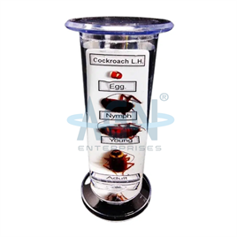 Specimen Life History Jar