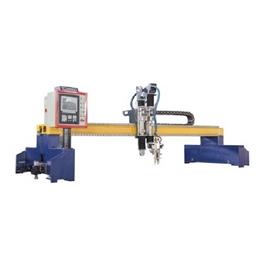 Light Gantry CNC Plasma Oxy Fuel System