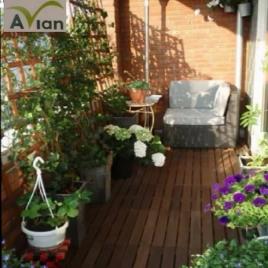 Living Room Interior Garden Designing Service